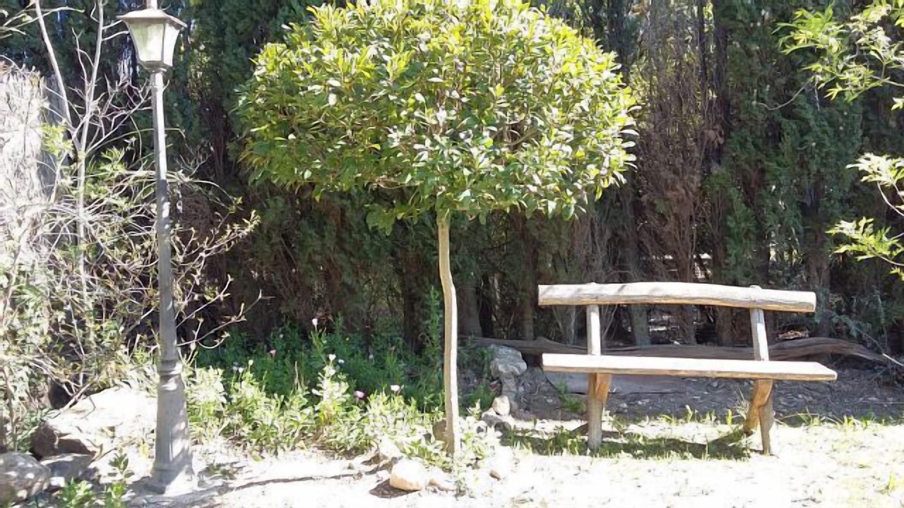 Photo of Outdoor in Figuerola del Camp