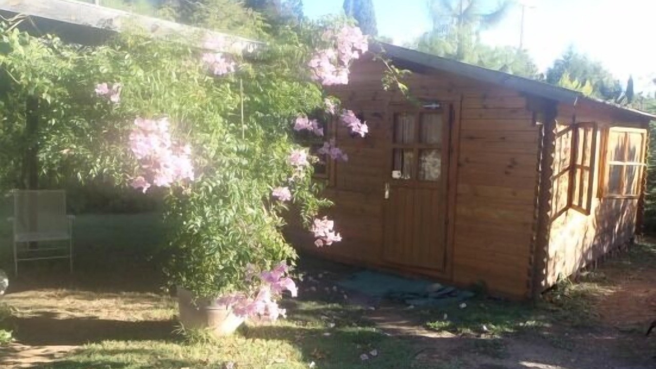 Photo of Outdoor in Figuerola del Camp