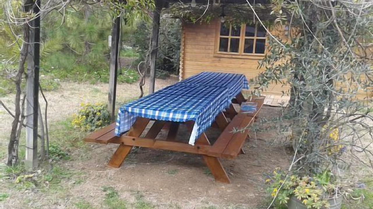Photo of Outdoor in Figuerola del Camp