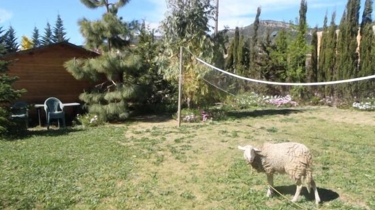 Photo of Outdoor in Figuerola del Camp