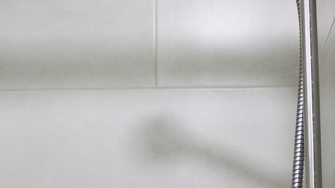 Photo of Others in Epinettes