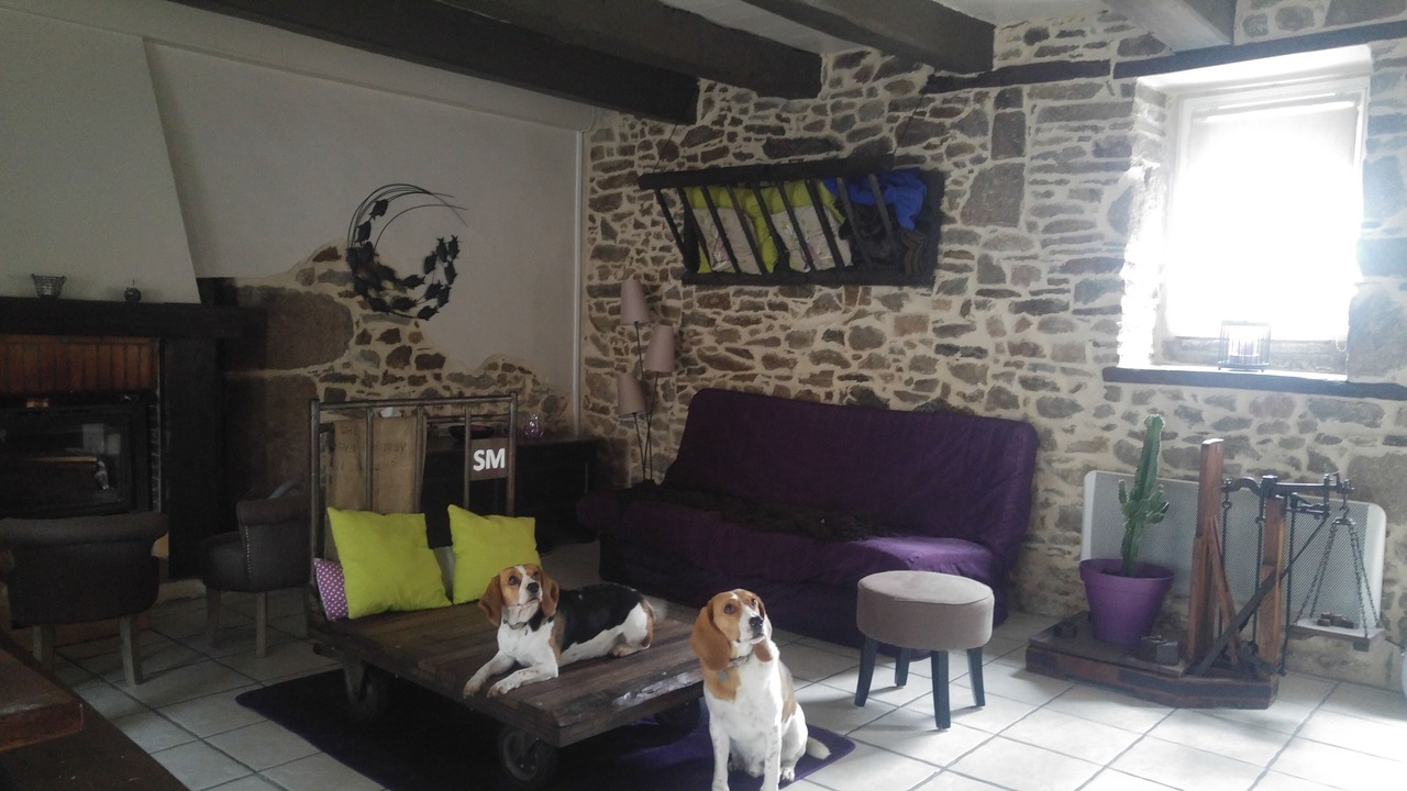 Photo of Livingroom in Vieux-Viel