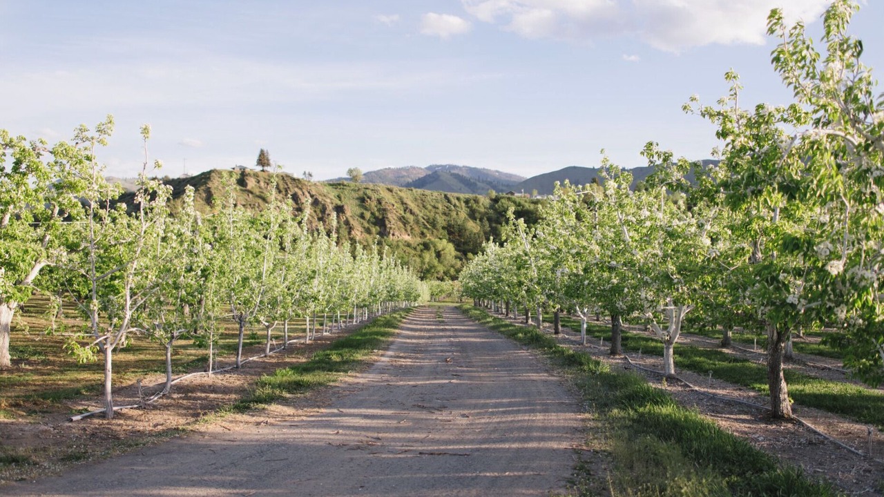 Photo of Others in Monitor