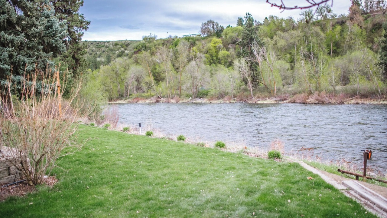 Photo of Others in Monitor