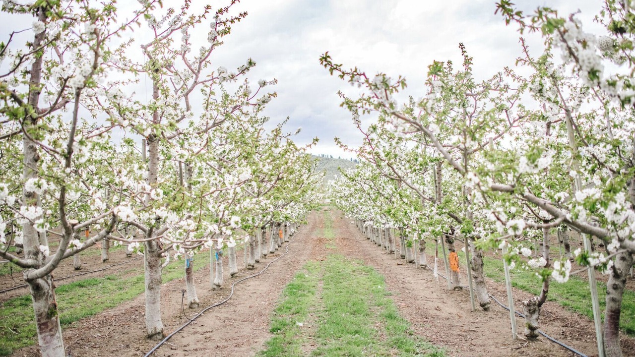Photo of Others in Monitor