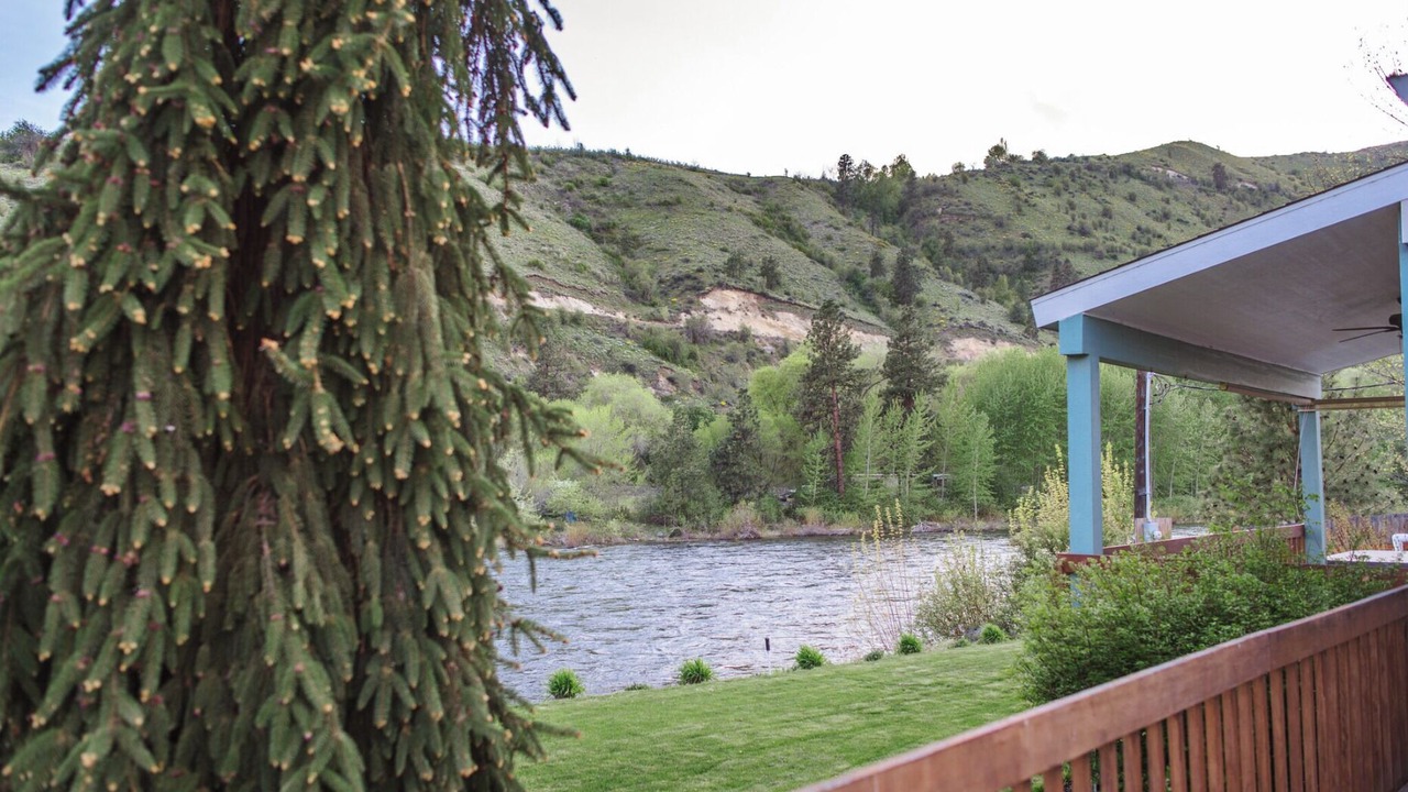 Photo of Others in Monitor