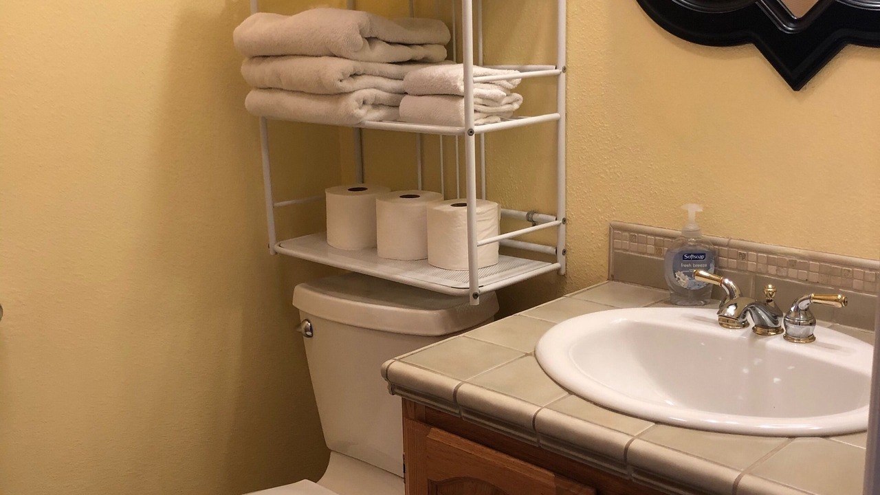 Photo of Bathroom in Monitor