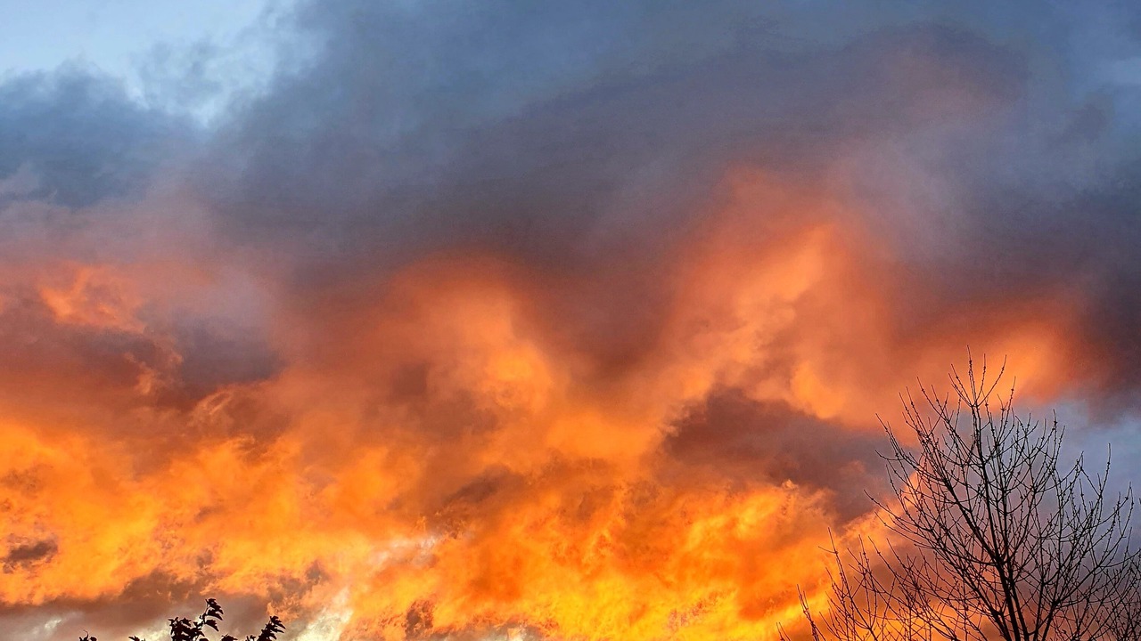 Photo of Others in Bourdeaux