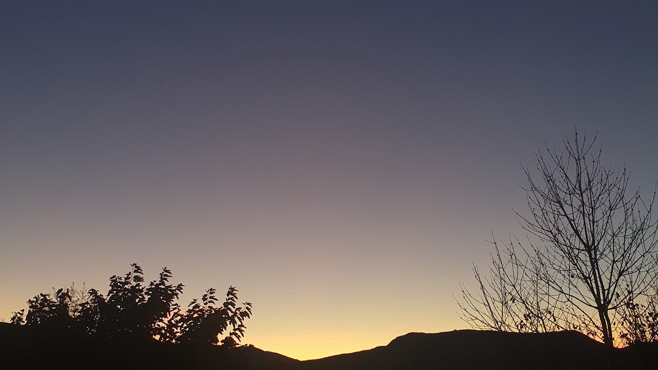 Photo of Others in Bourdeaux