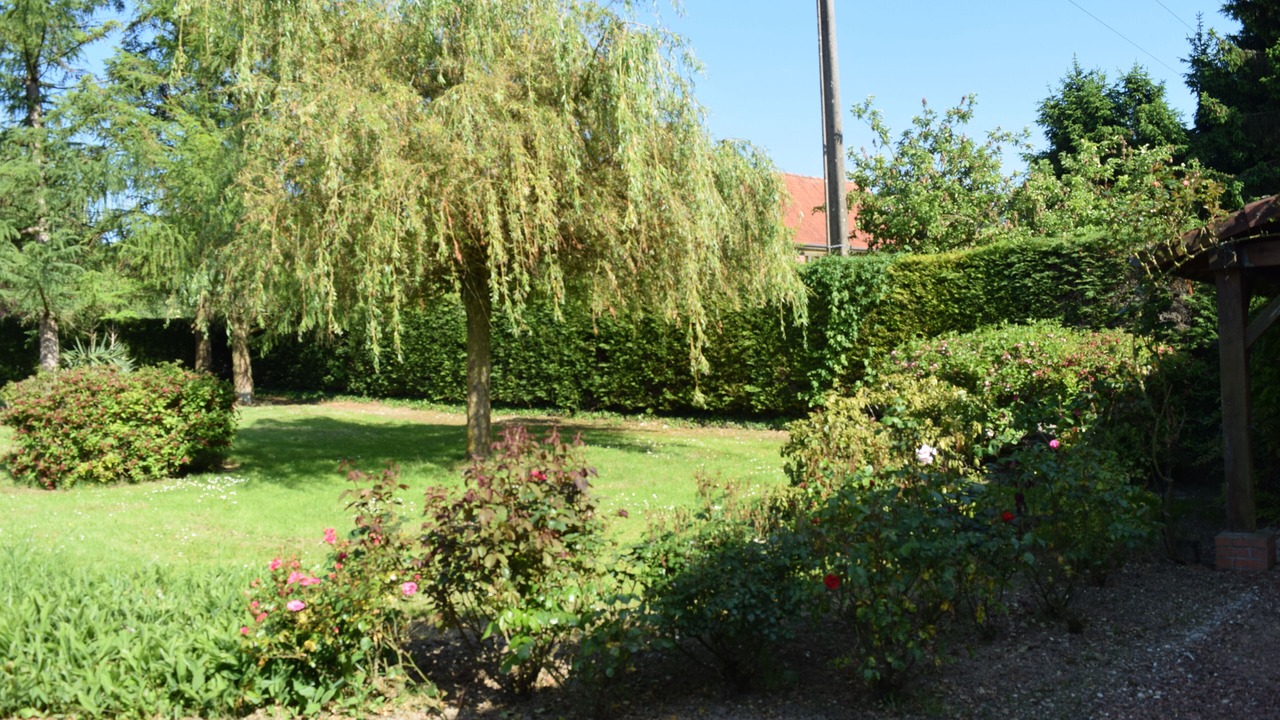 Photo of Outdoor in Neuville-au-Bois