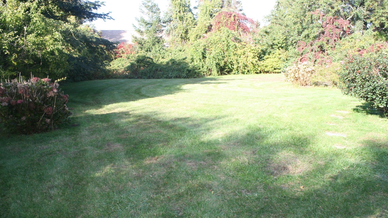 Photo of Others in East Dennis