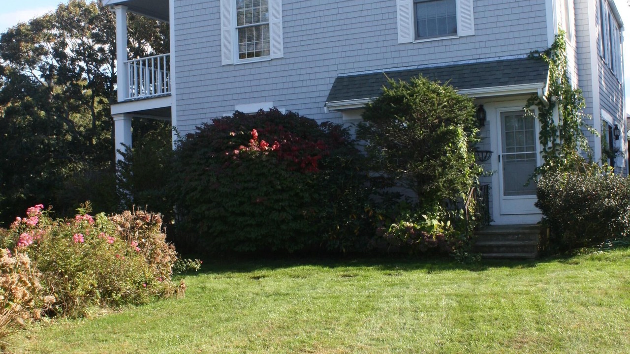 Photo of Others in East Dennis