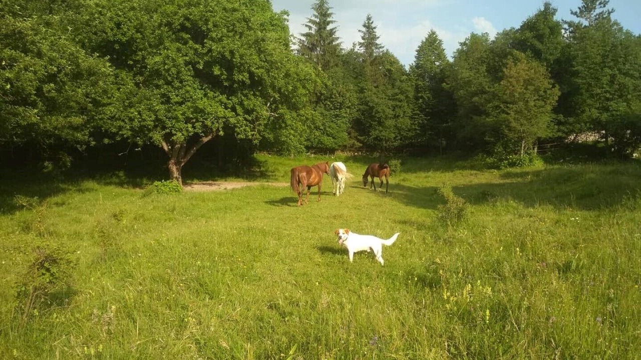 Photo of Outdoor in Klana