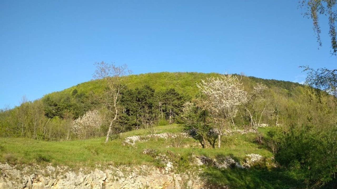 Photo of Outdoor in Klana