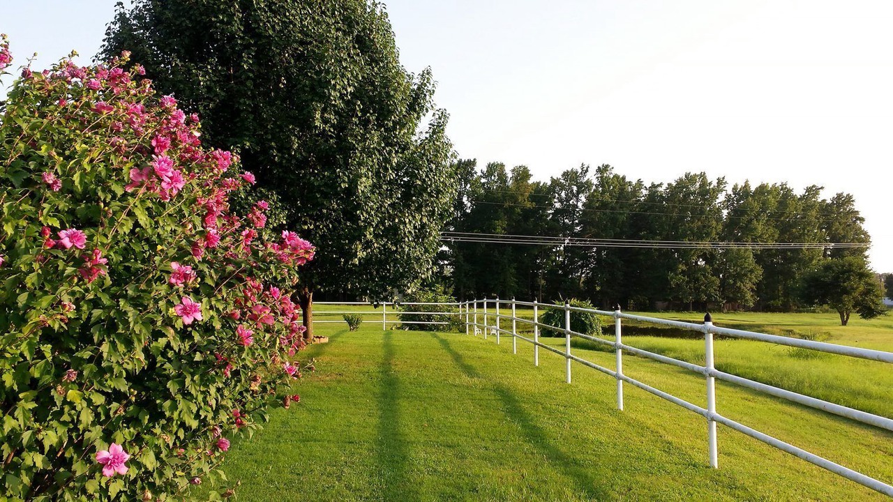 Photo of Outdoor in Broken Bow