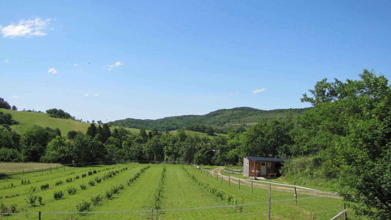 Photo of Outdoor in Engravies