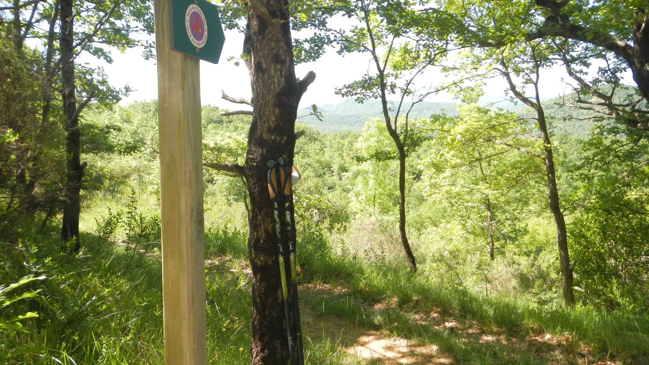 Photo of Outdoor in Engravies