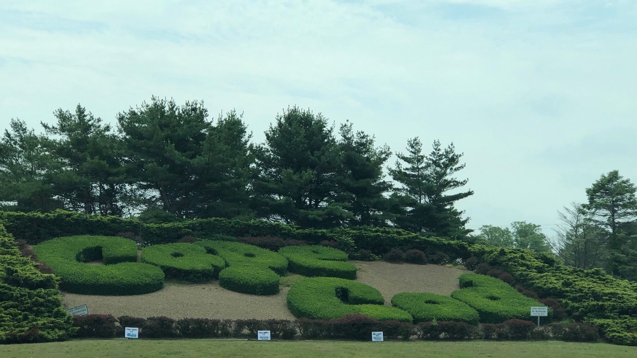 Photo of Outdoor in Dennis Port