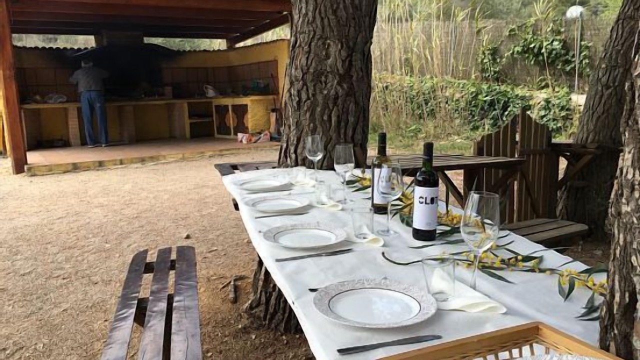 Photo of Outdoor in Canyelles