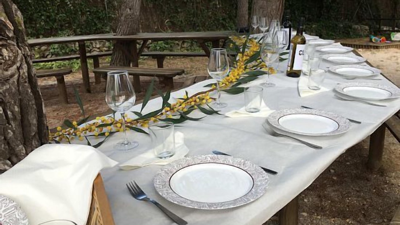 Photo of Outdoor in Canyelles