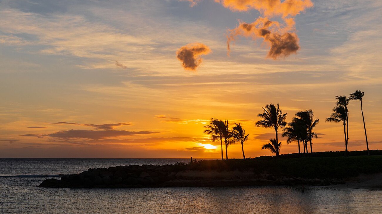 Photo of Others in Ko Olina
