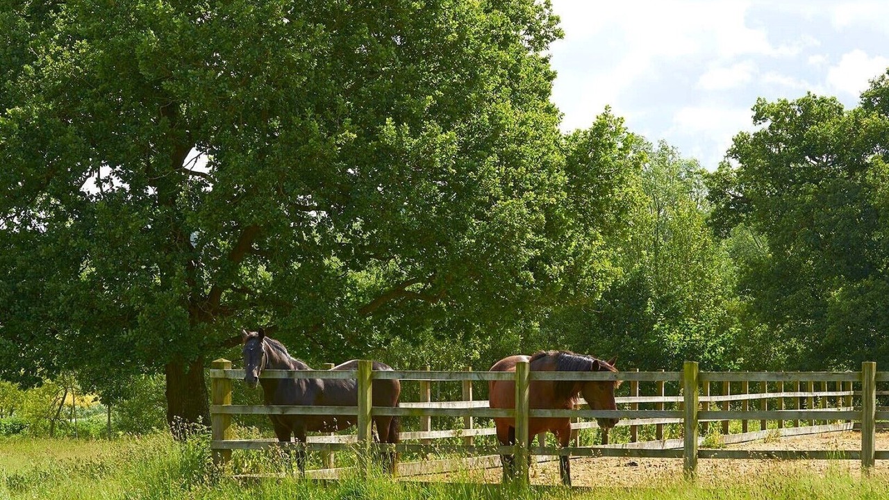 Photo of Outdoor in Stuckton