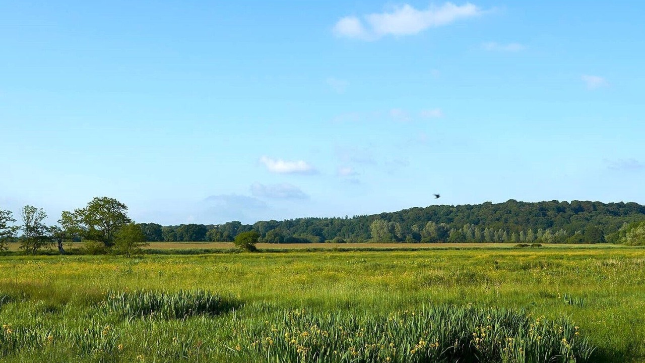 Photo of Outdoor in Stuckton