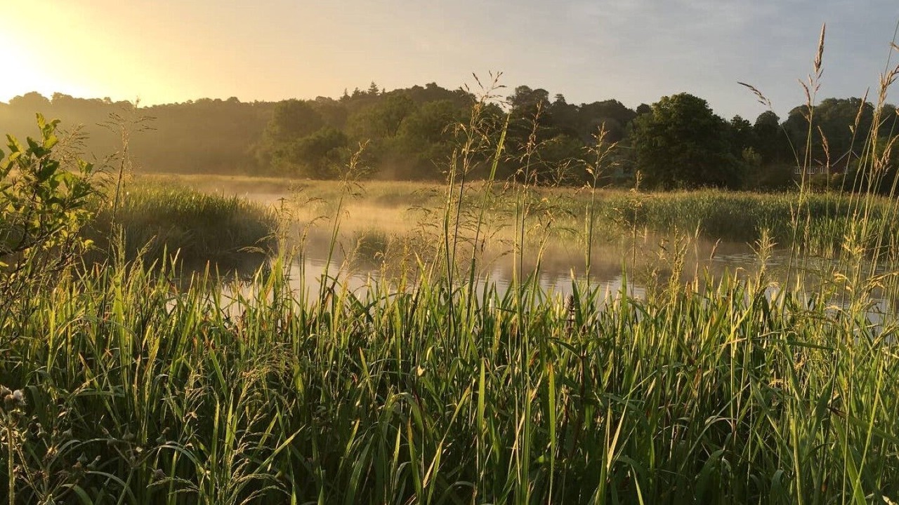 Photo of Outdoor in Stuckton
