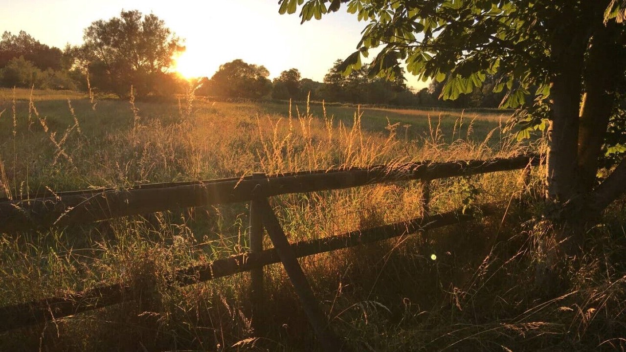 Photo of Outdoor in Stuckton