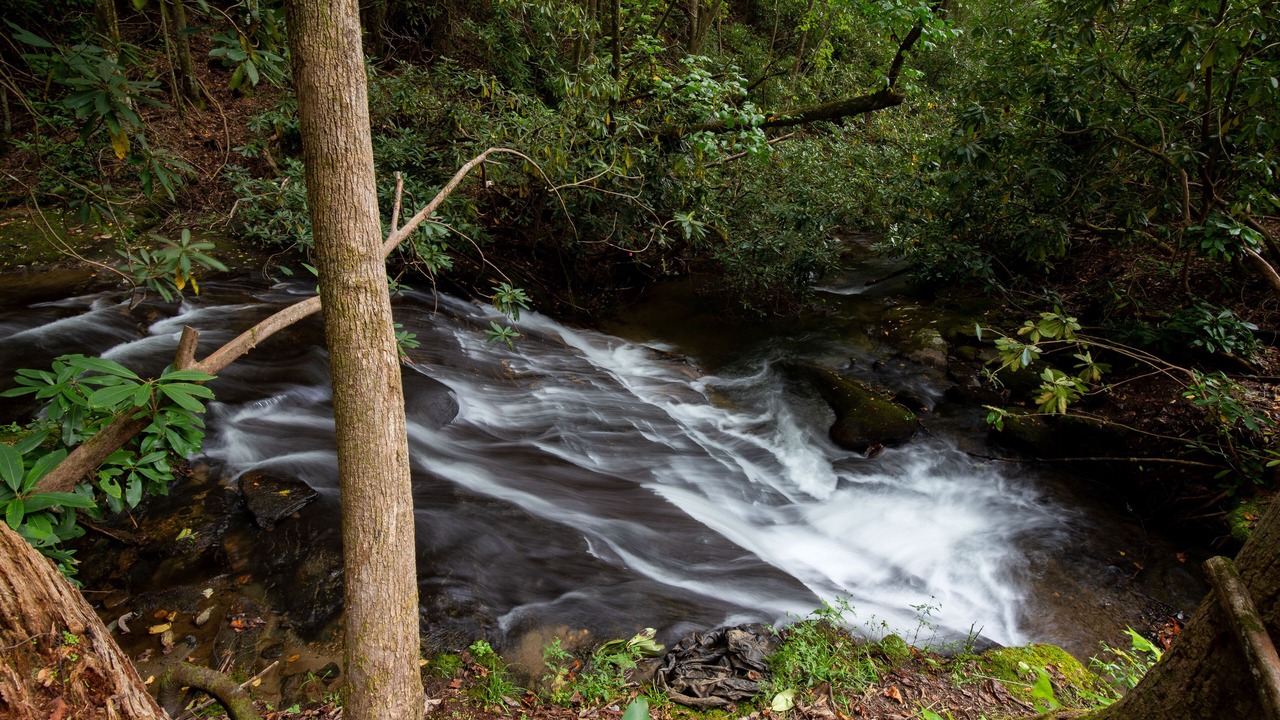 Photo of Outdoor in Tuckasegee