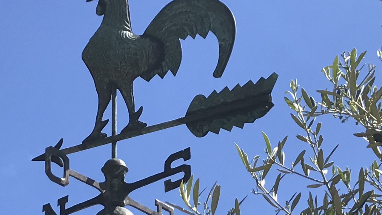 Photo of Outdoor in Valbonne