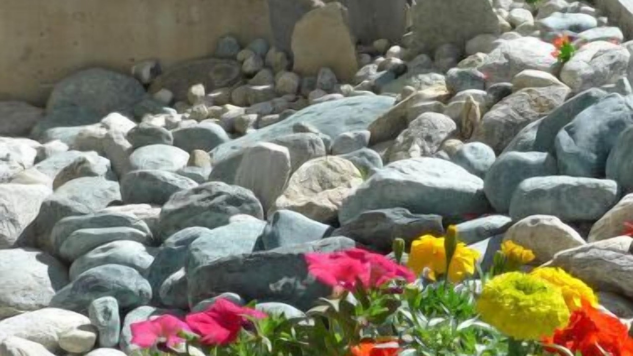 Photo of Outdoor in Saas Grund