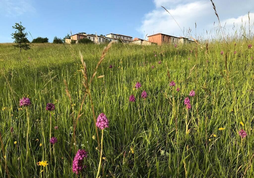 Photo of Outdoor in Carla-Bayle