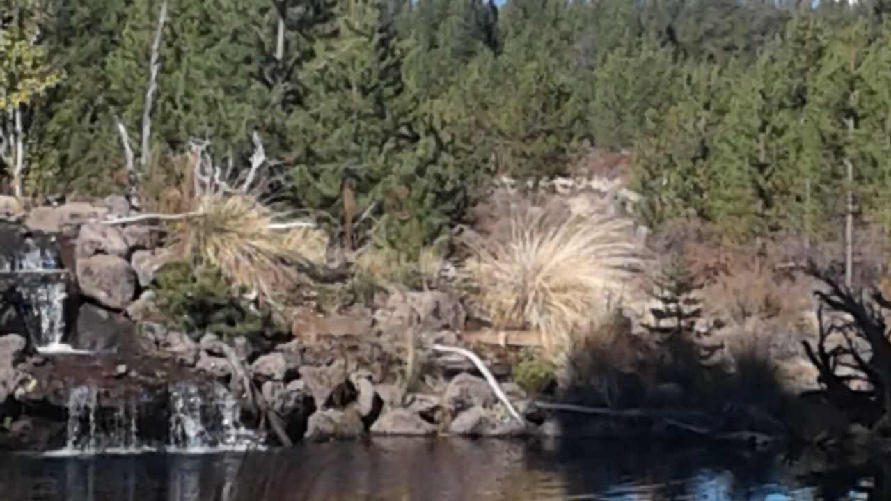 Photo of Others in Three Rivers