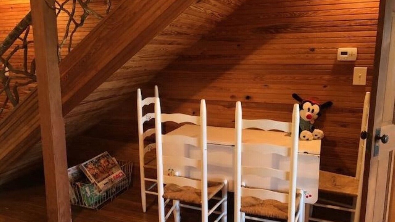 Photo of Others in Tiger