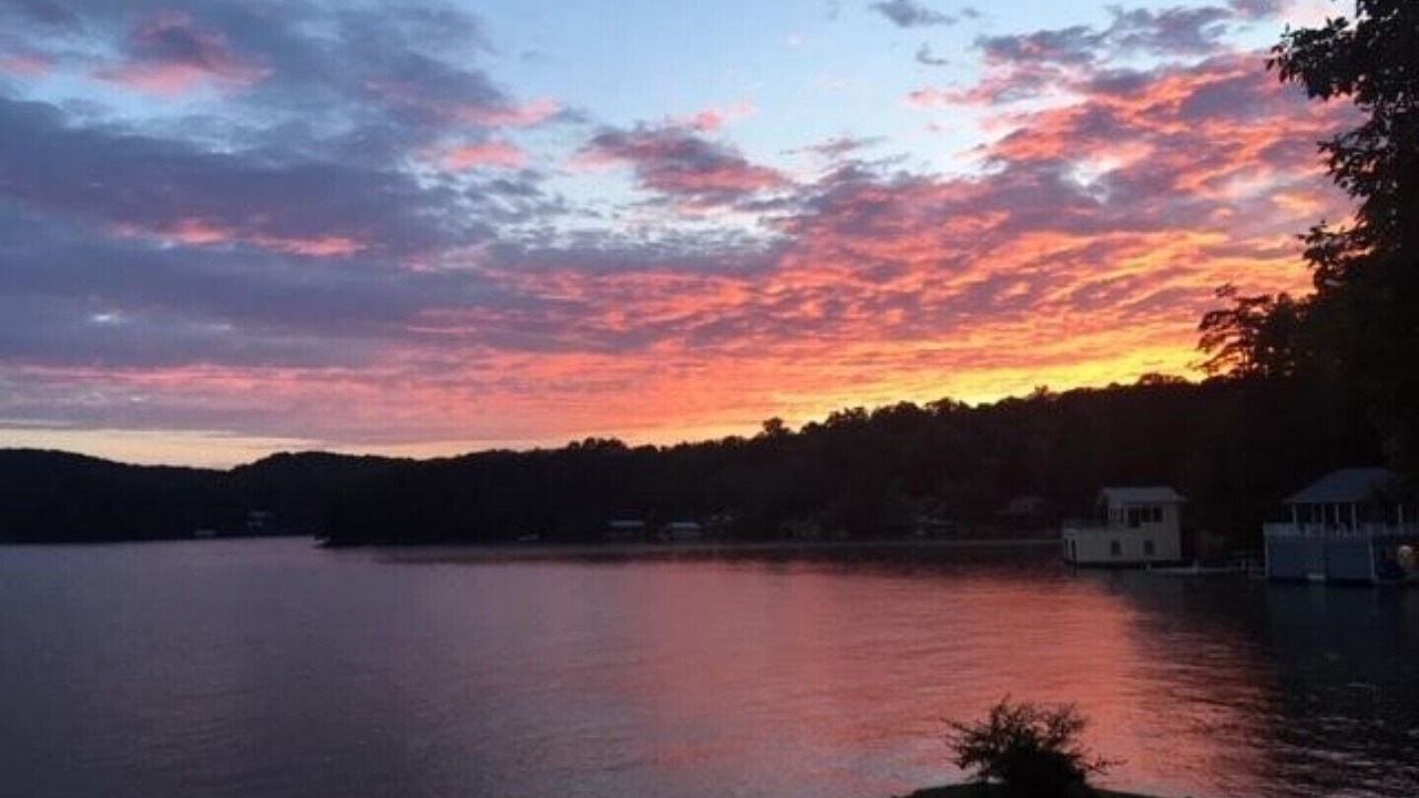 Photo of Others in Tiger