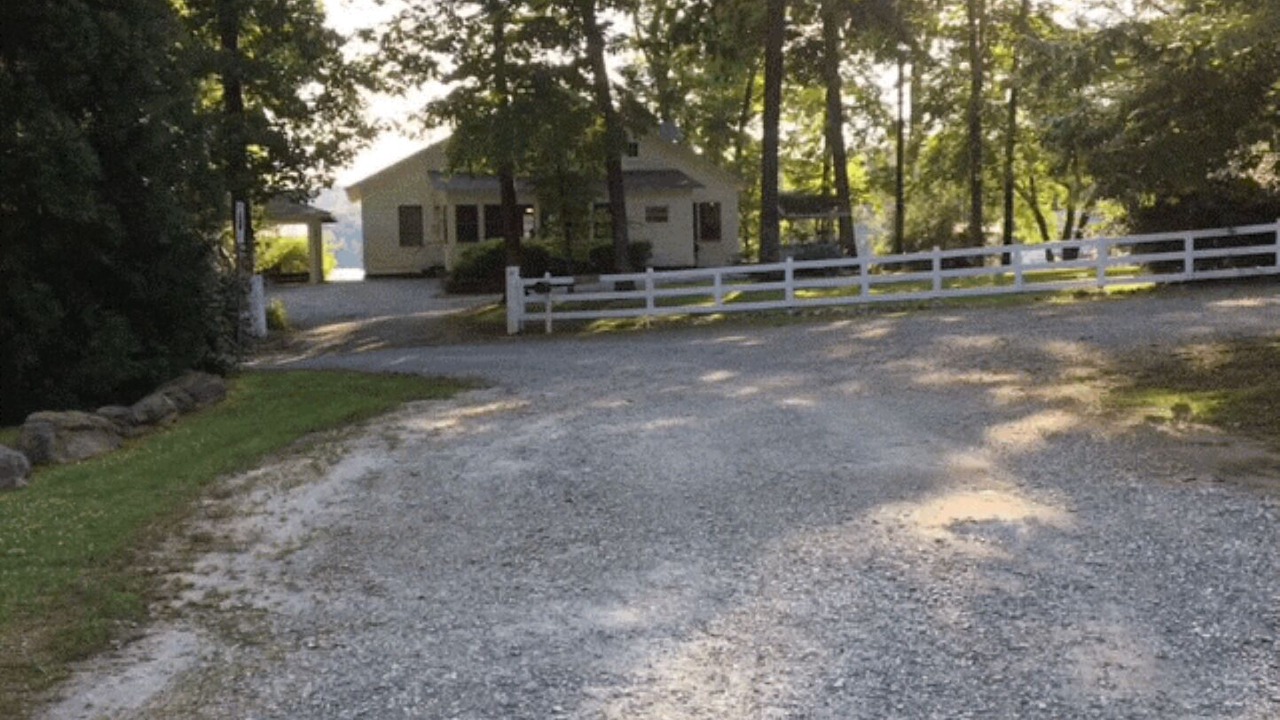 Photo of Others in Tiger