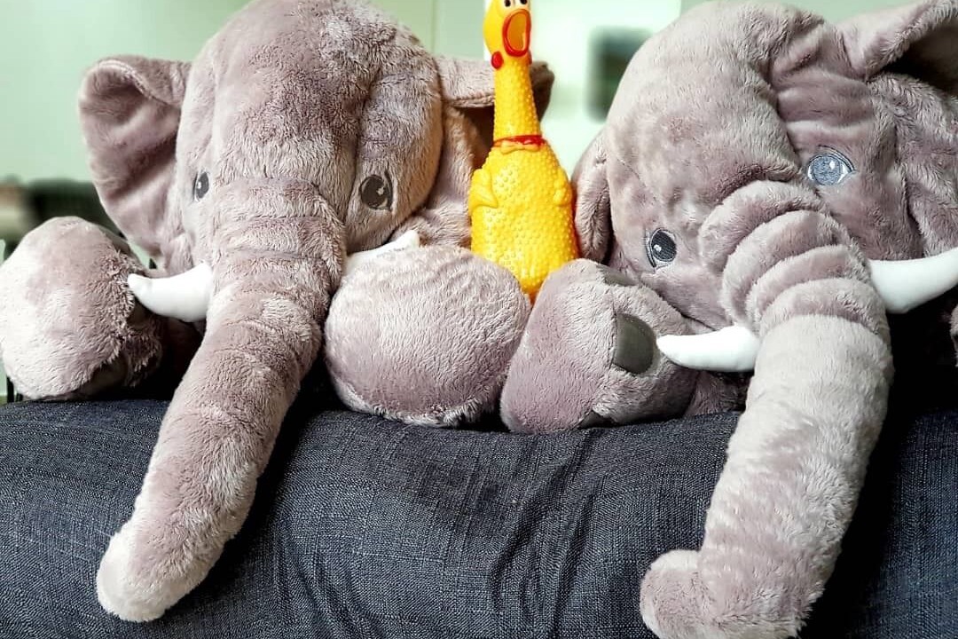 Photo of Others in Kuala Lumpur