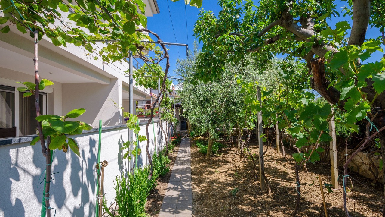 Photo of Outdoor in Rab Town