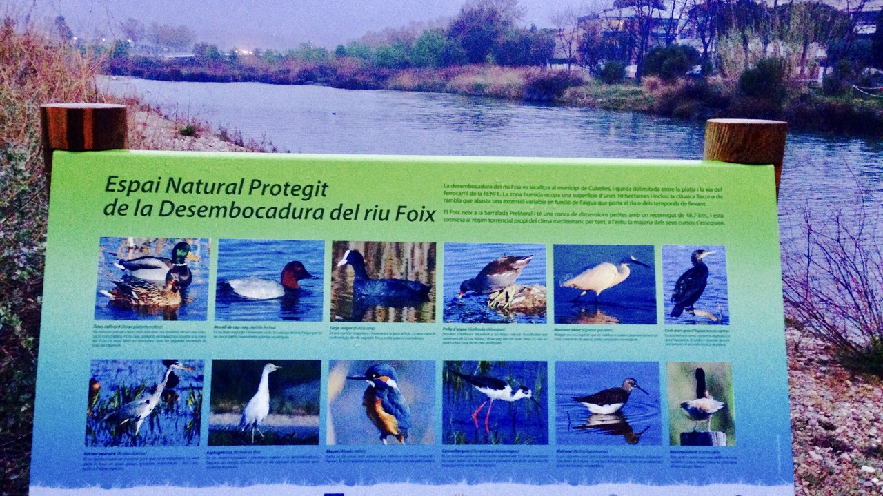 Photo of Outdoor in Cubelles