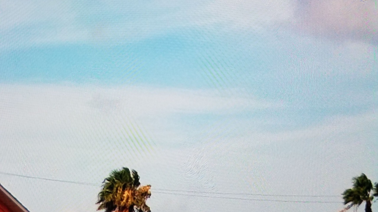 Photo of Others in Rockport