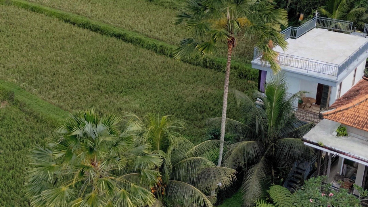 Photo of Outdoor in Pejeng Kawan