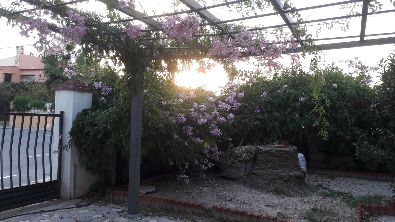 Photo of Outdoor in San Juan de Alicante