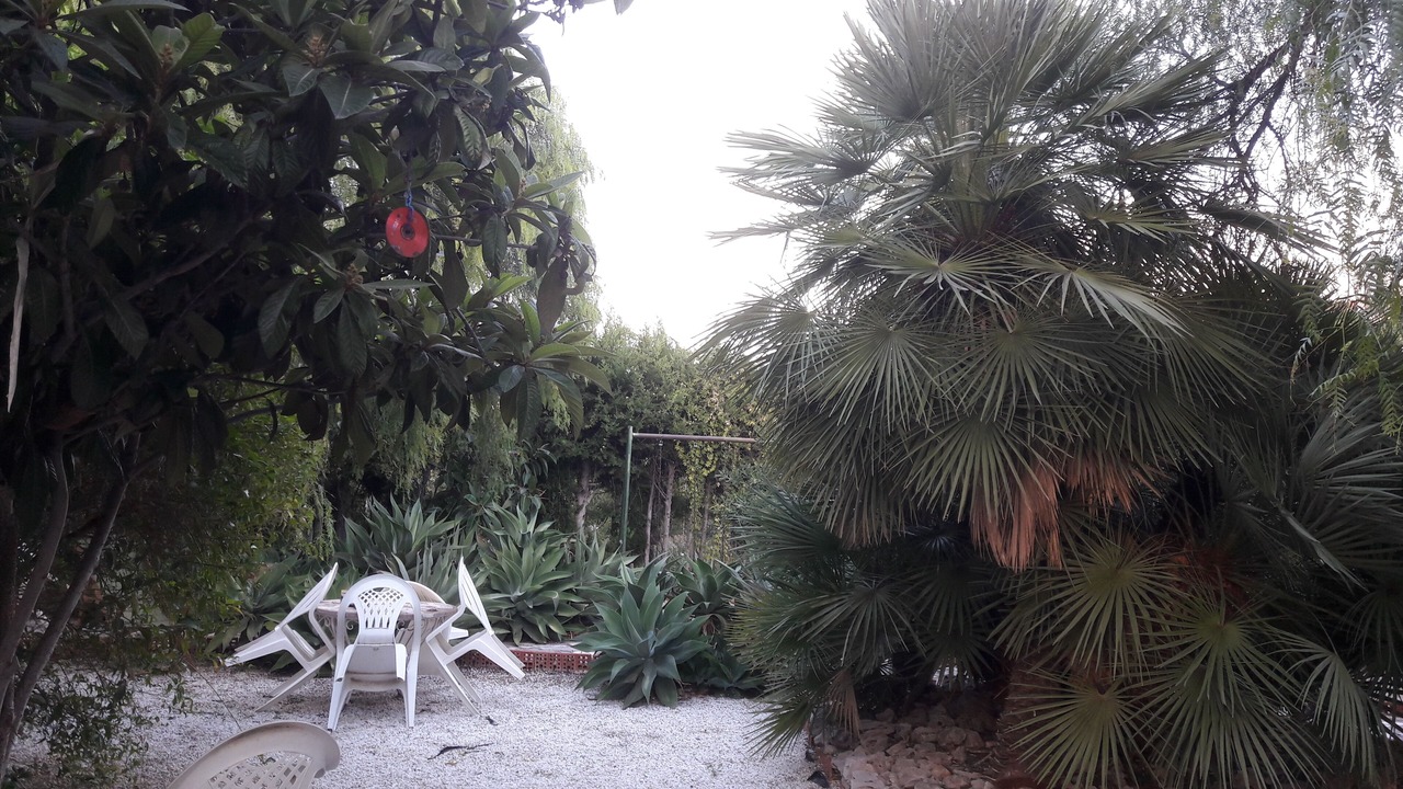Photo of Patio Balcony in San Juan de Alicante