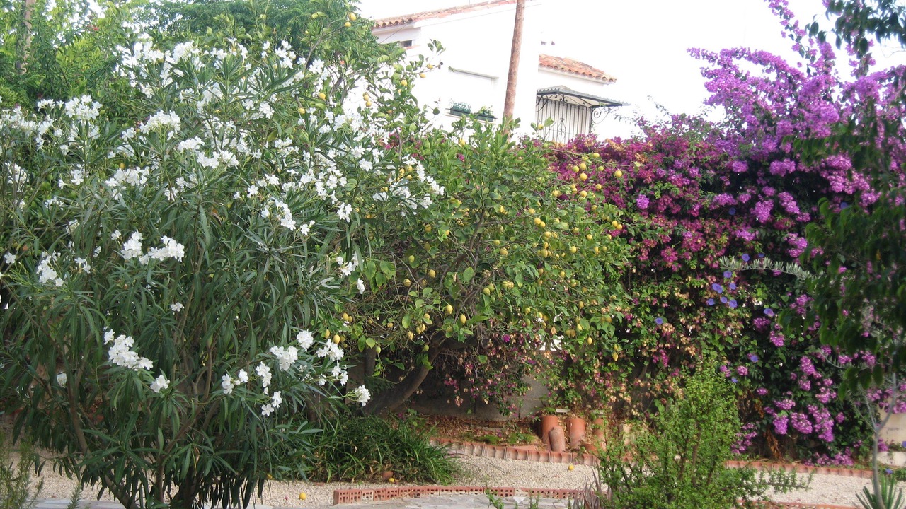 Photo of Outdoor in San Juan de Alicante
