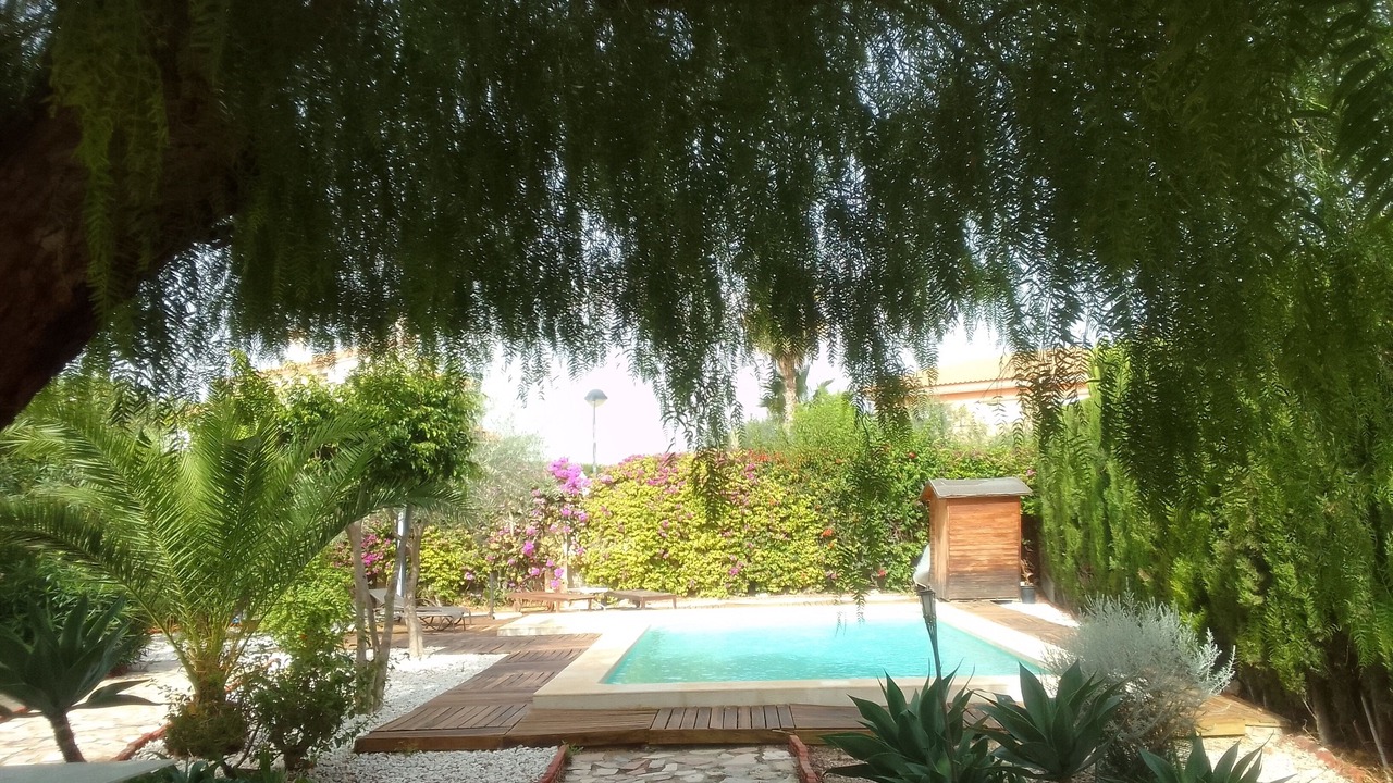 Photo of Outdoor in San Juan de Alicante