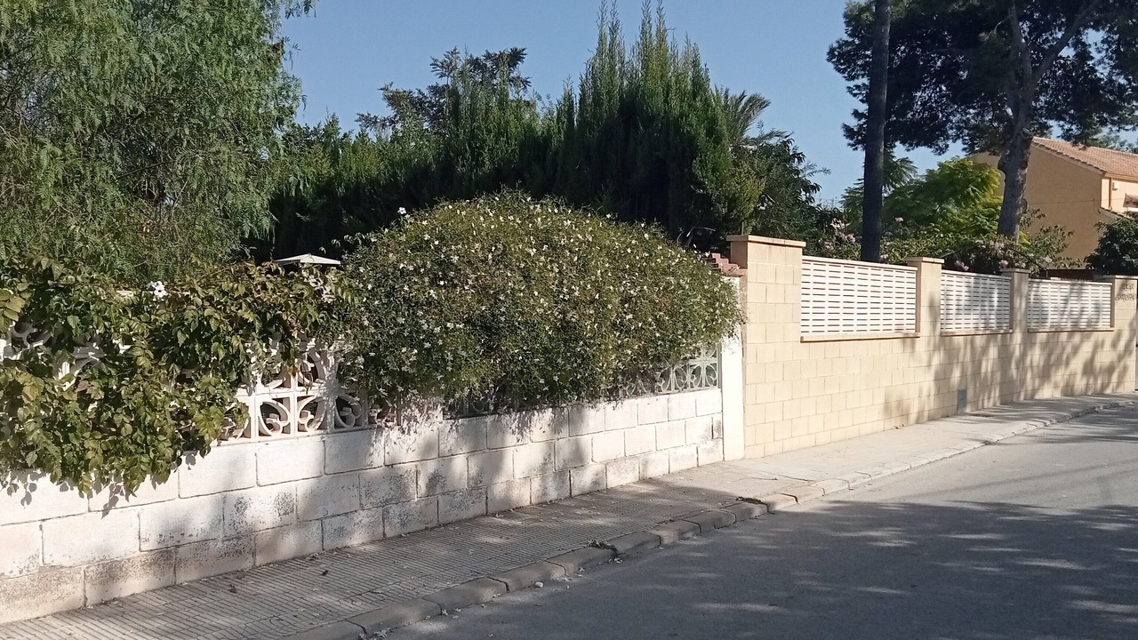 Photo of Outdoor in San Juan de Alicante