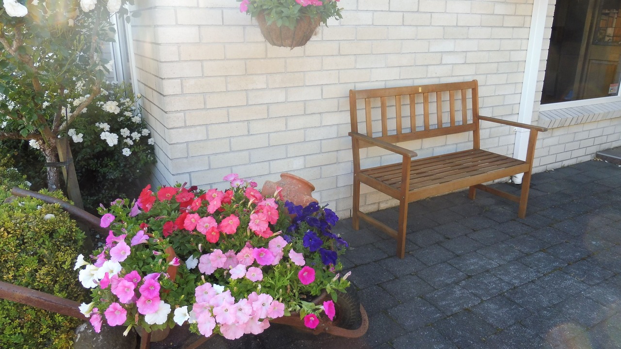 Photo of Patio Balcony in New Plymouth