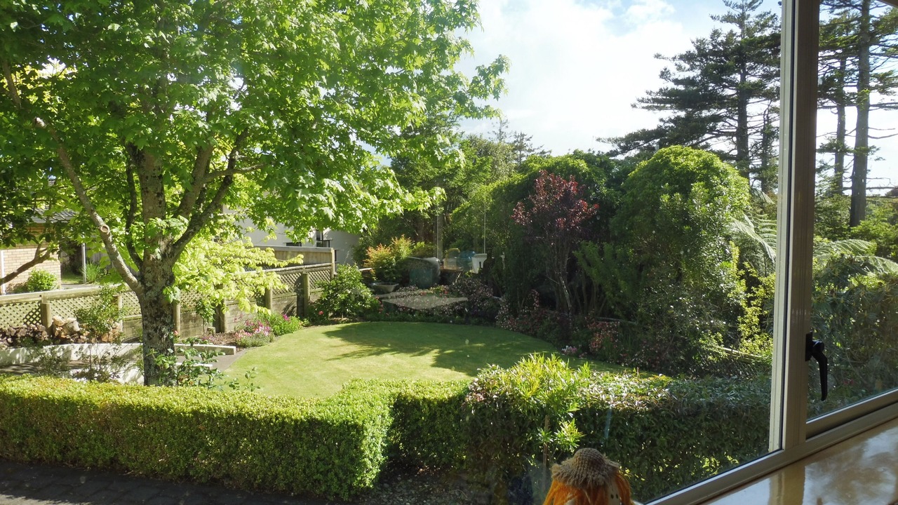 Photo of Others in New Plymouth