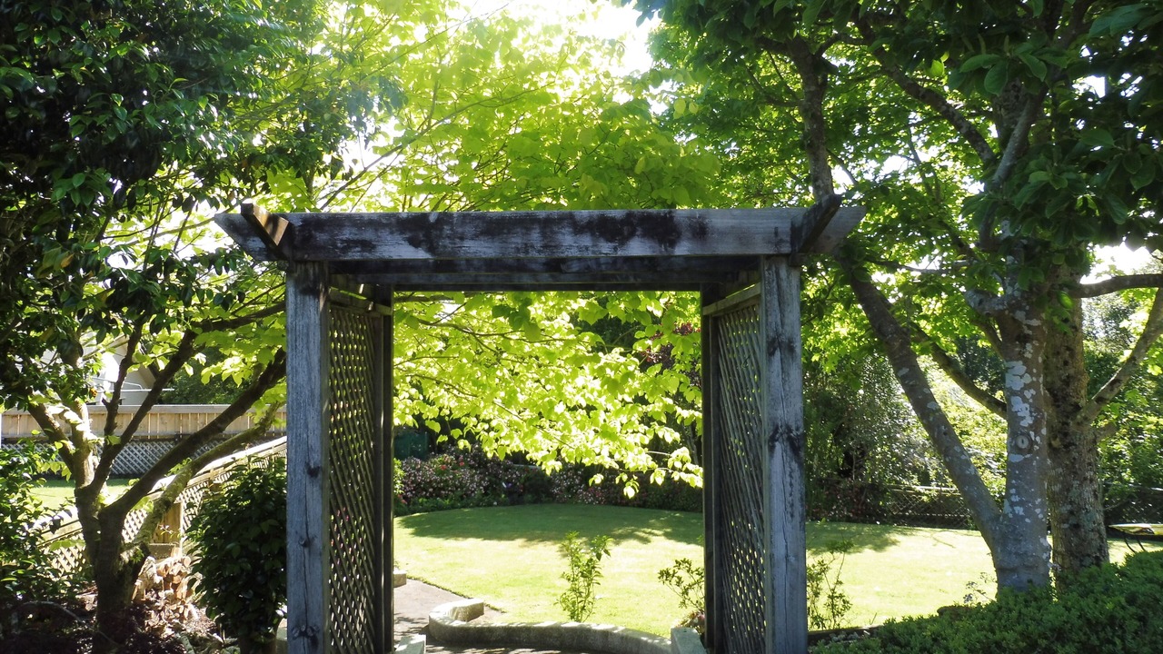 Photo of Outdoor in New Plymouth